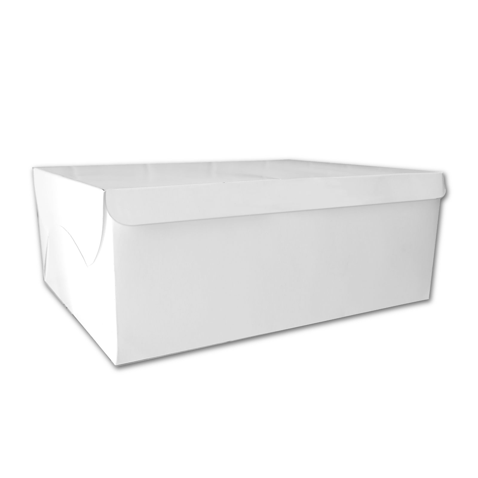 Meal Box Food Packaging (100 pc pack)