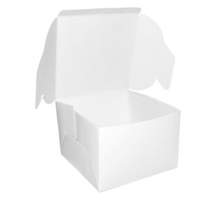 Double Decker Burger Box 